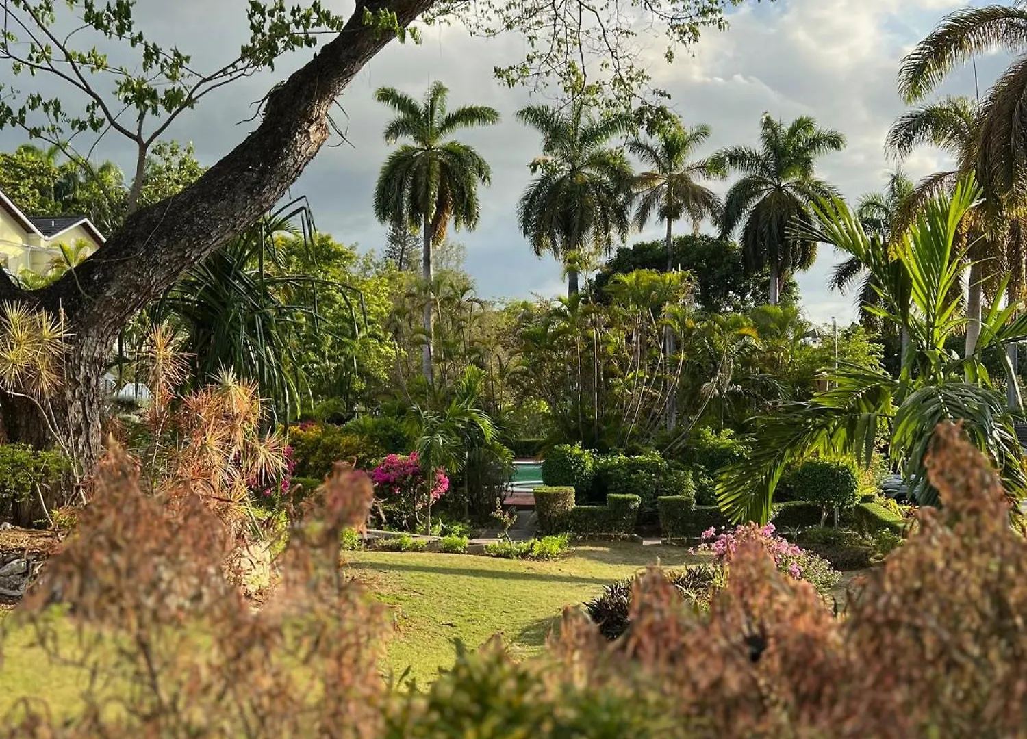 Montego Bay Beach House
